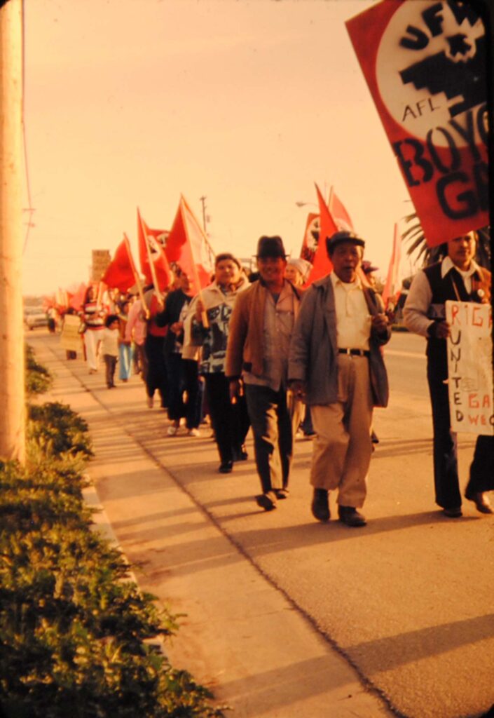 Module 1: Overview: Labor & Activism of Filipino Farmworkers ...