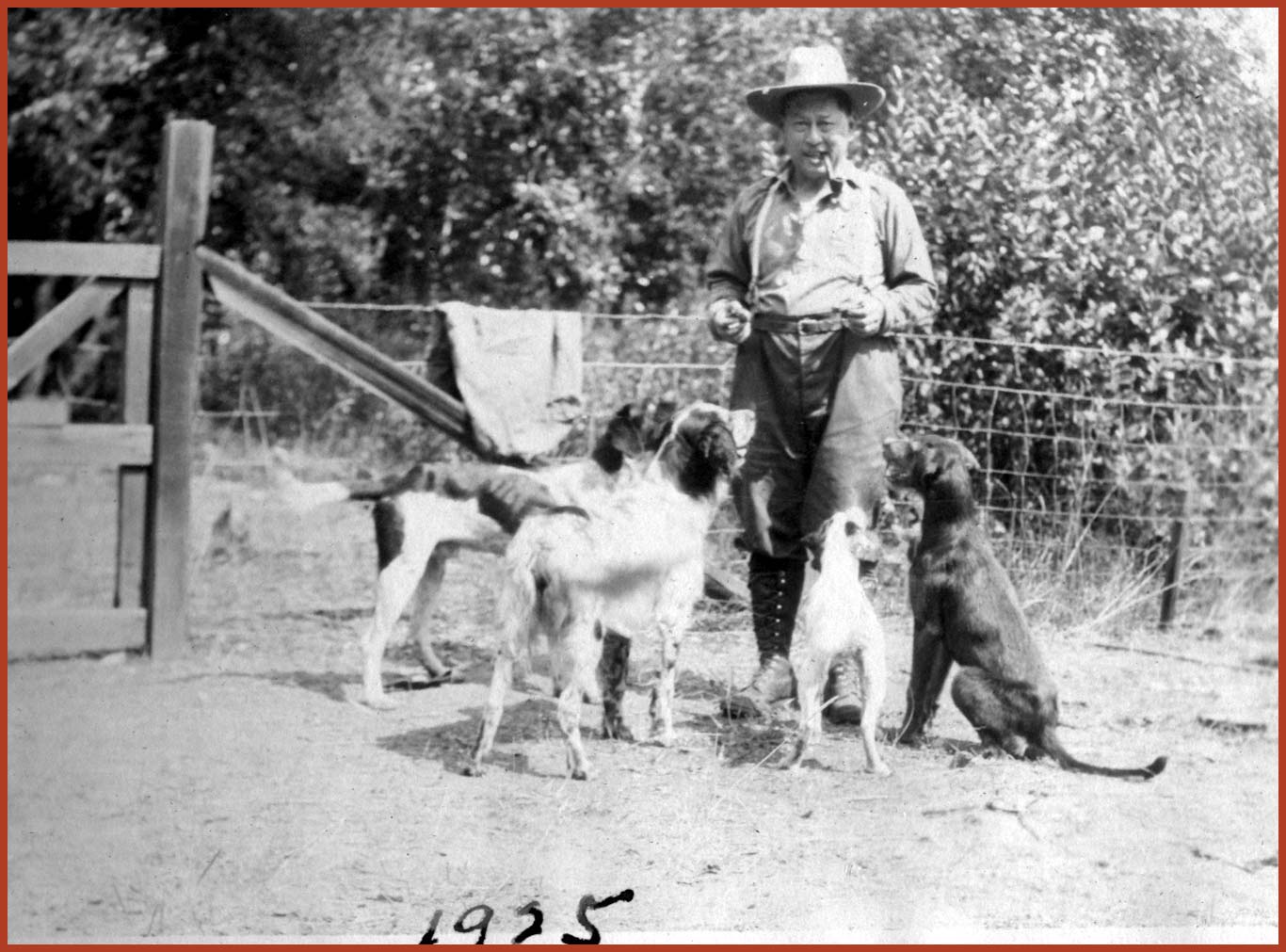 Frank Tape smokes a cigarette while four hunting dogs wait at his feet for food.