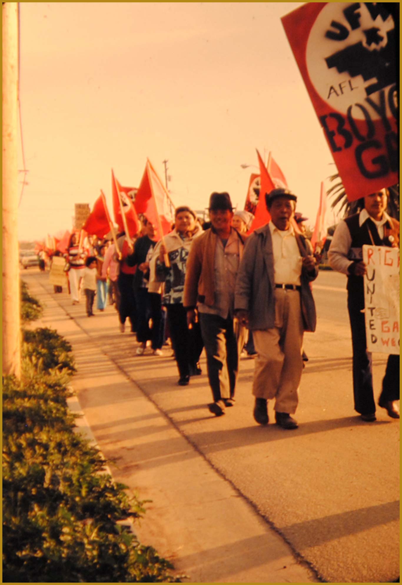 Individuals marching in a single file line on the side of the road holding signs and pickets.