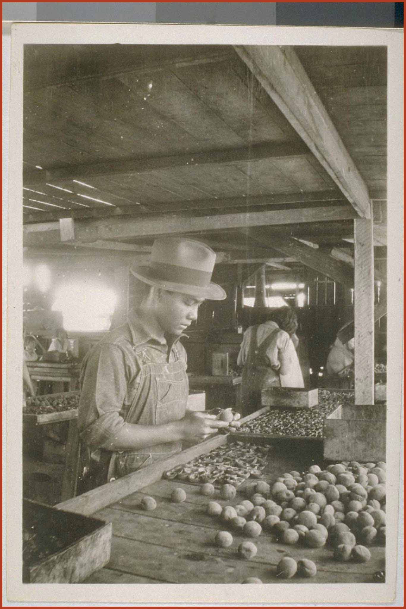 Man in overalls and a hat peeling produce. In the background, another agricultural laborer is visible with their back turned.