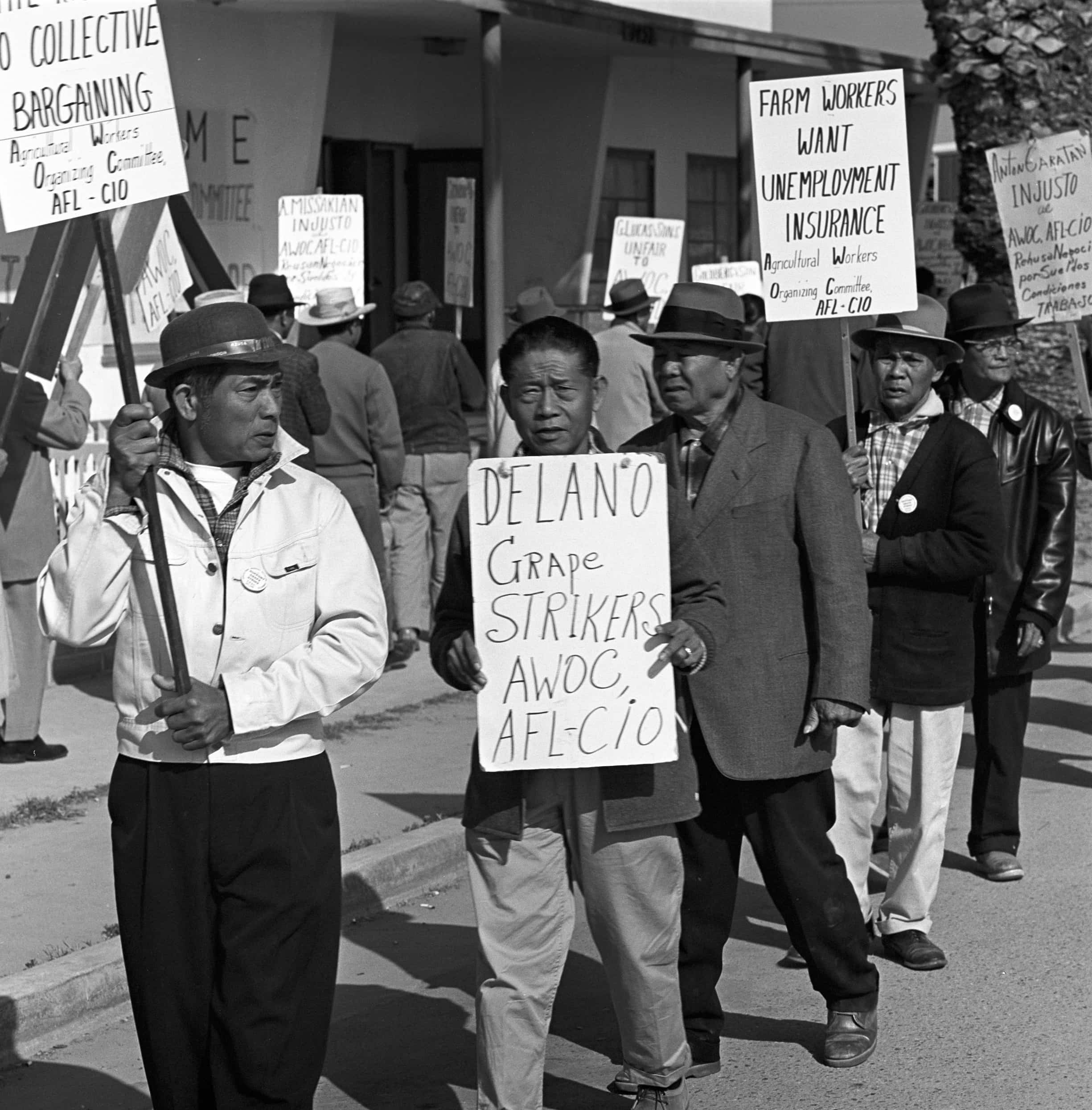 Black and white image of AWOC members walking the picket line with home made signs as part of the Delano Grape Strike.