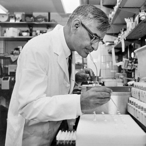 Hargobind Khorana, an Indian American Nobel Prize recipient, wearing a lab coat blows into a tube extending to a vial on a board in his laboratory.