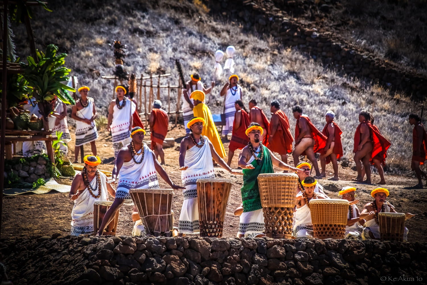 Ten men face cliff edge and perform hula pahu for the Hoʻokuʻikahi ceremonies at Puʻukoholā Heiau. A group of men walk up the slope behind them.