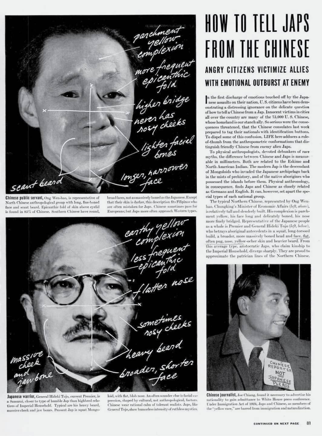 Diagrams in article outline supposed racial differences between Japanese and Chinese people.