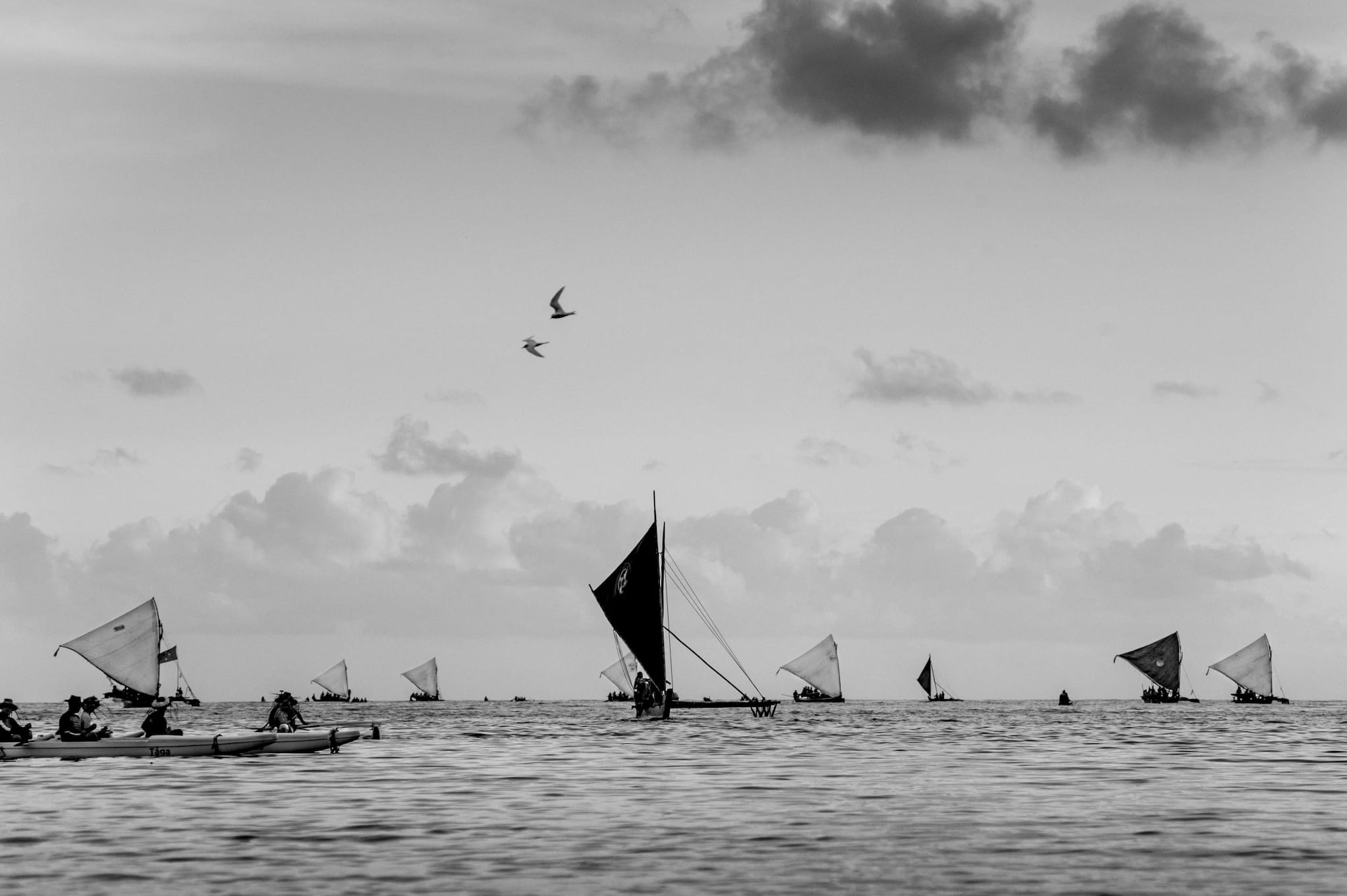 Unfurled sails from sakmans fill the horizon. Canoes sit on the calm ocean along with the sakmans. Two birds fly over the sakmans in a cloudy sky.