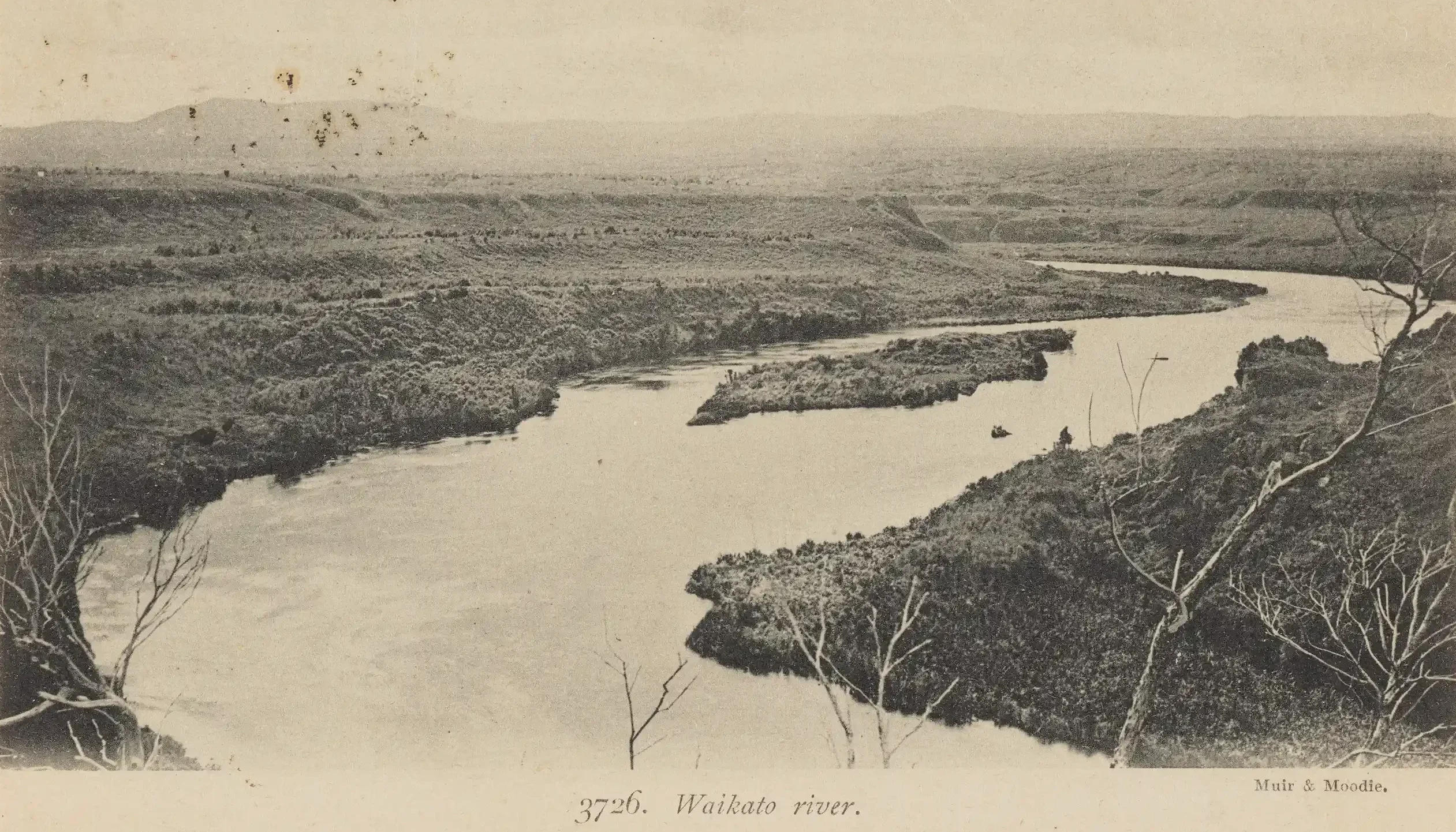 Vintage postcard of Waikato River winding through densely vegetated landscape. At foreground are trees with bare branches.