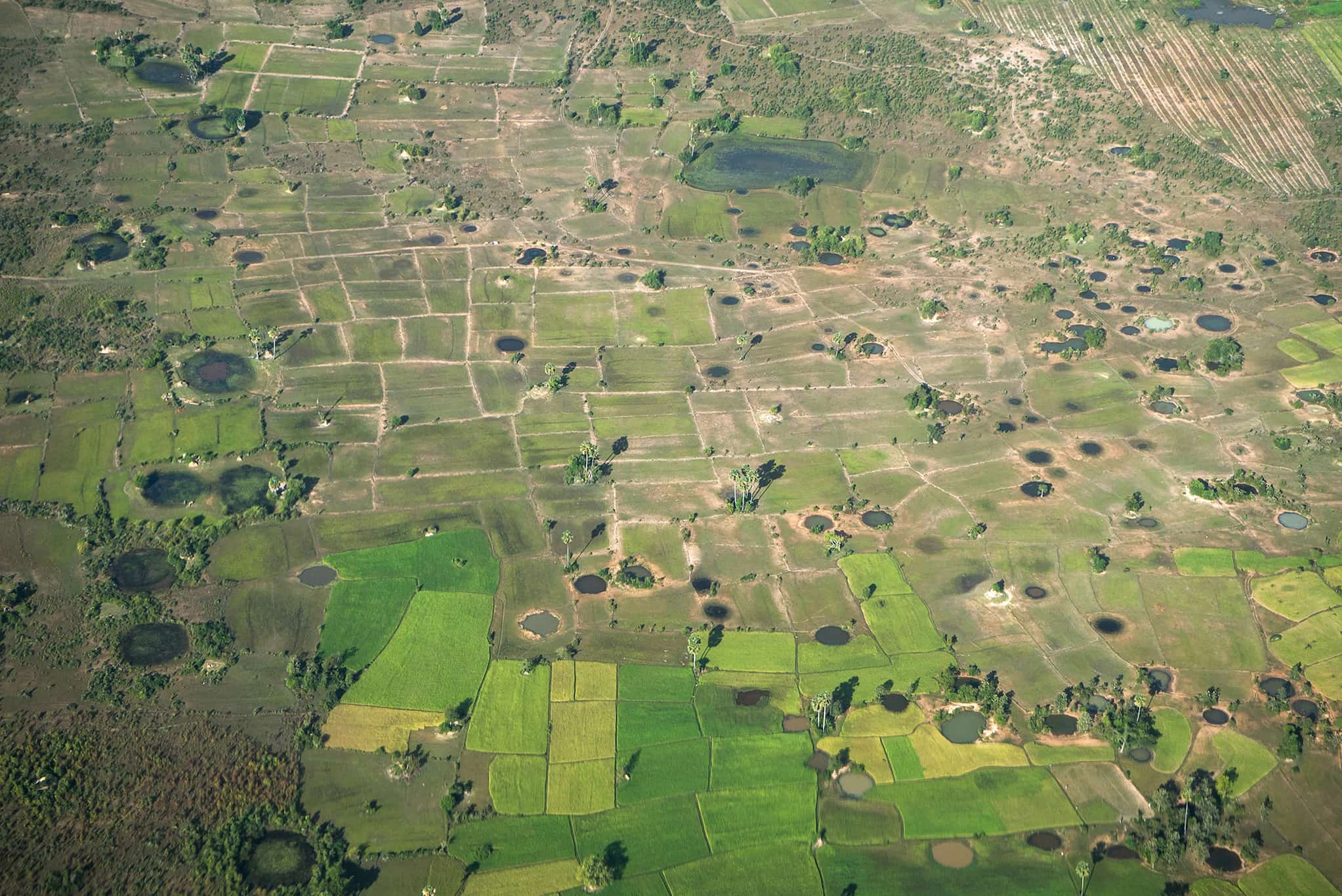 Aerial view of a myriad of bomb craters pockmarking lush farmland in Cambodia. Most craters are filled with water. A few are covered in vegetation.