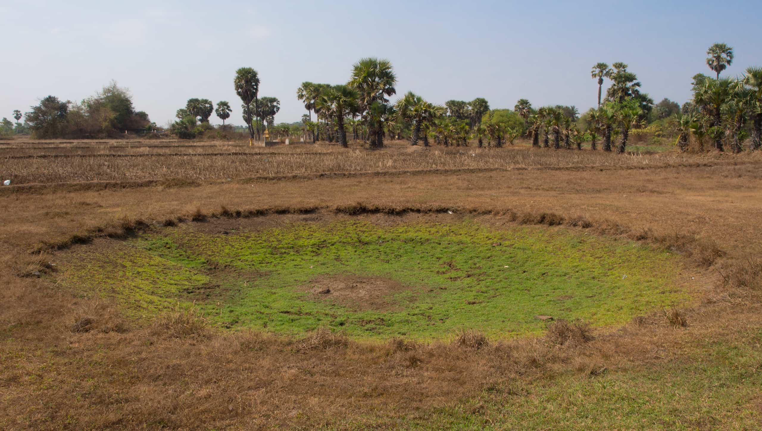 In Kampong Cham Province, a bomb crater is surrounded by dirt and palm trees in the background. Grass grows in the crater except for its center.