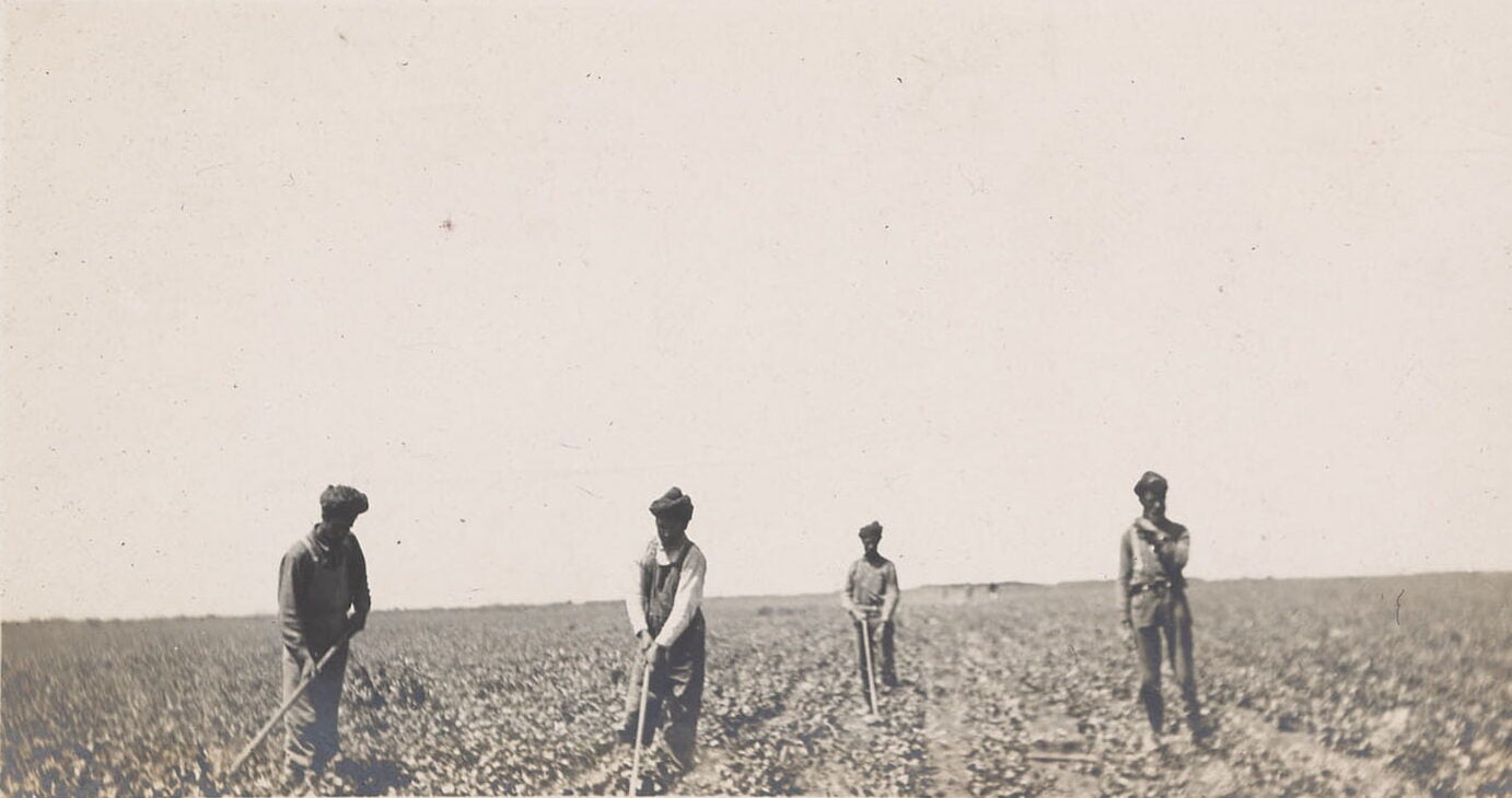 Four Punjabi men, dressed in turbans, long sleeve shirts and overalls, tend a large field of crops using long handled farm tools.