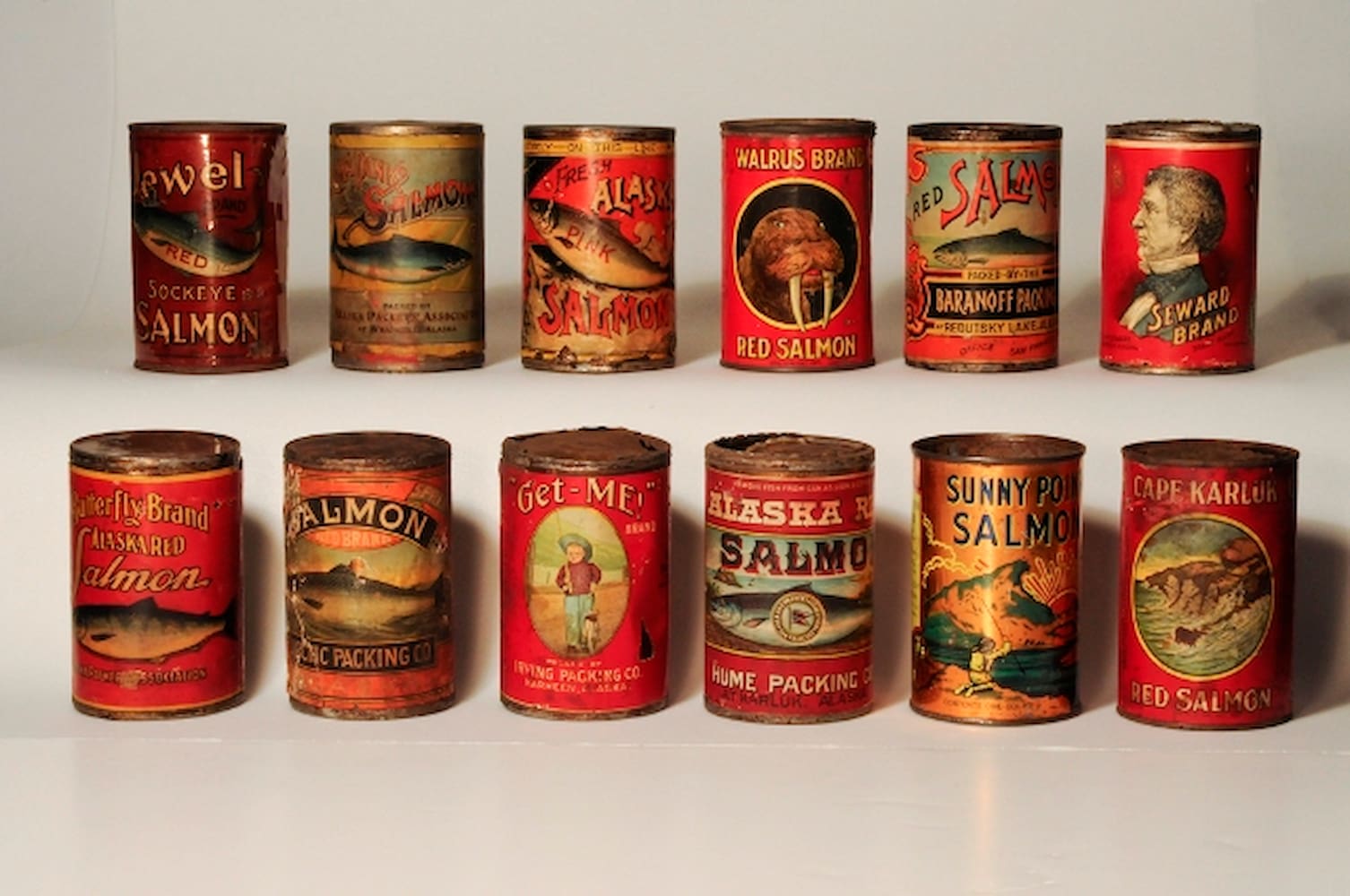 Twelve different brands of salmon cans placed in two rows of six. The labels feature drawings of salmon, a walrus, a young boy, and a man's face.