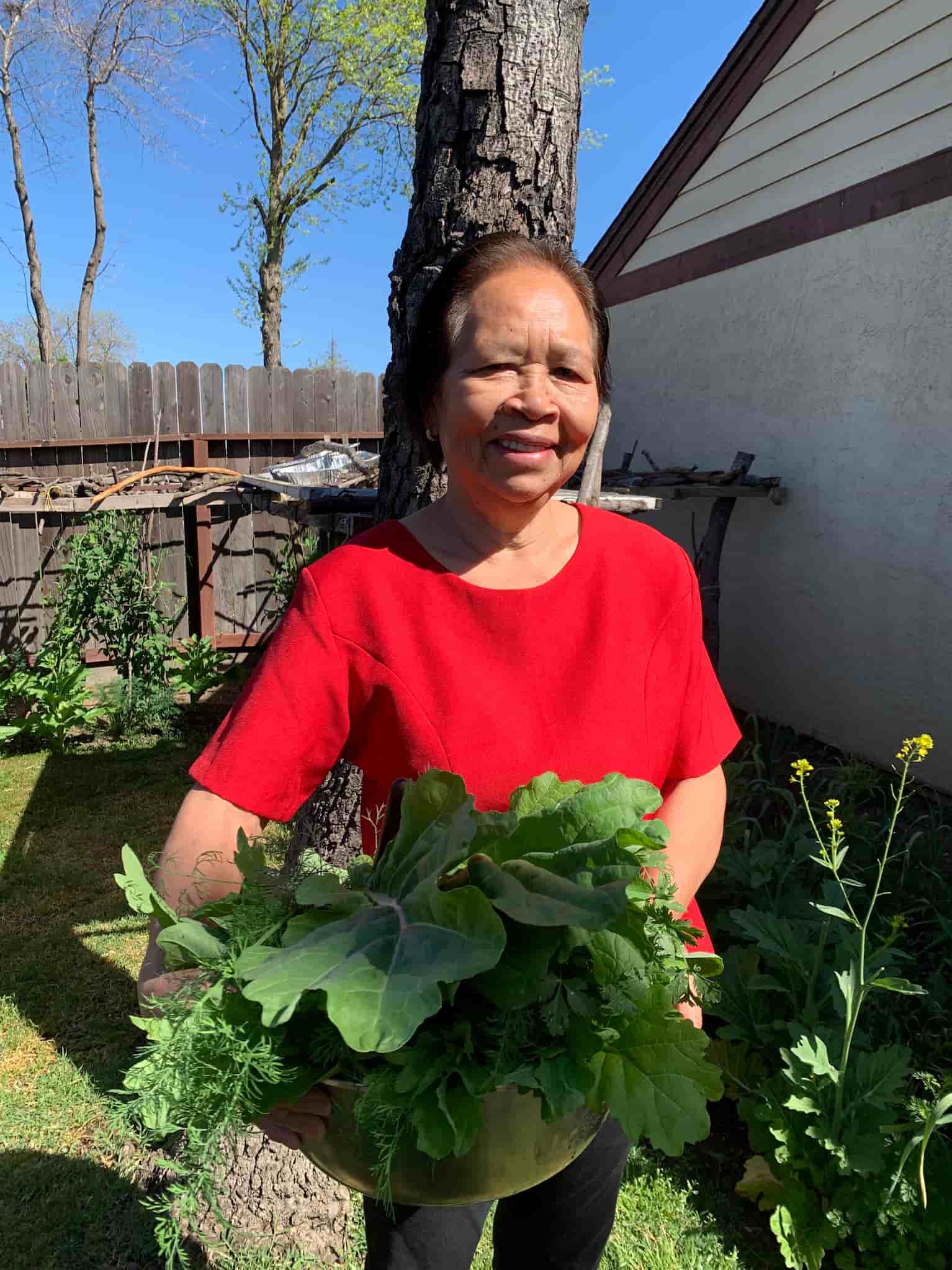 Chome Sisavath, dressed in a red blouse and pants, stands in her backyard garden holding a metal bowl of freshly harvested leafy greens and herbs.