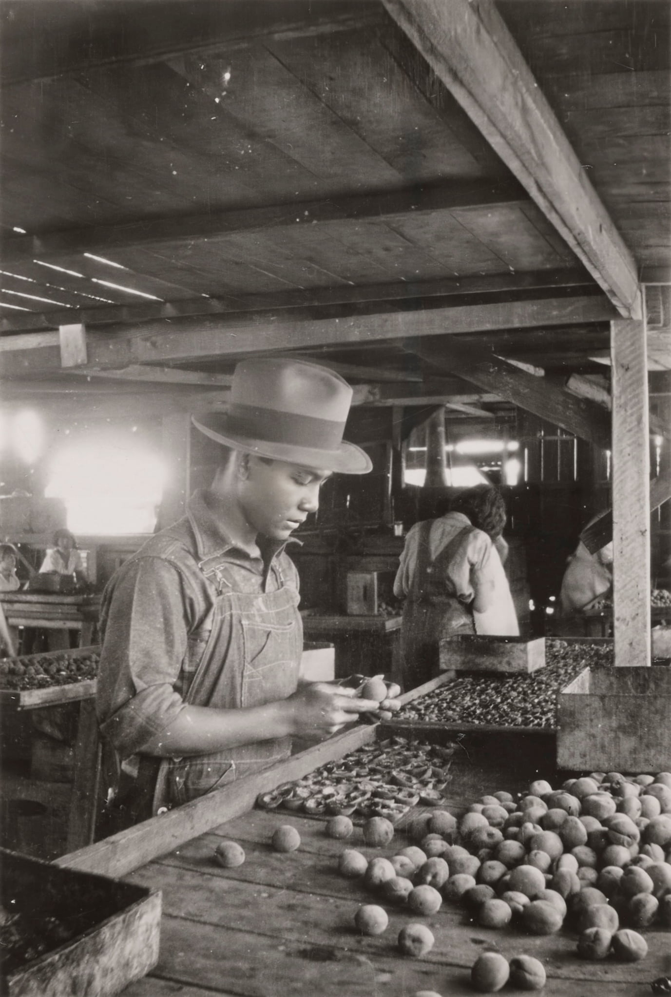 Man in overalls and a hat peeling produce. In the background, another agricultural laborer is visible with their back turned.