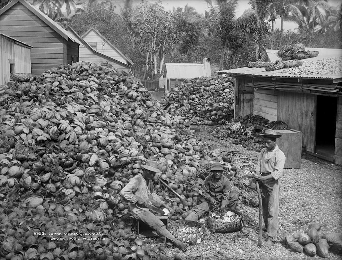 Massive piles of coconut shells are among an alley of shacks. Workers sit with baskets on the husks.