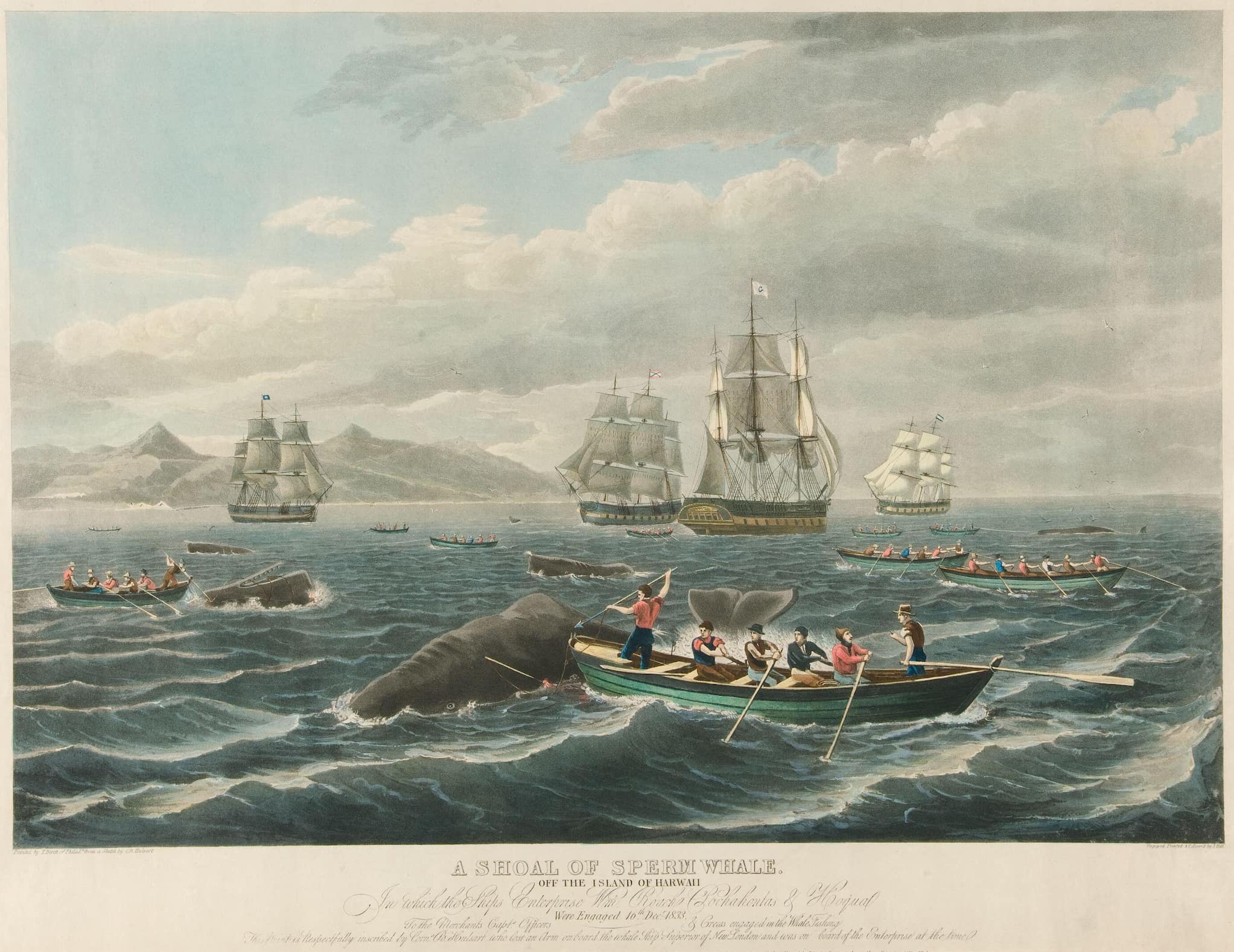 Painting of four tall ships and nine whaling boats showing the men in boats rowing and spearing a pod of sperm whales in choppy sea.