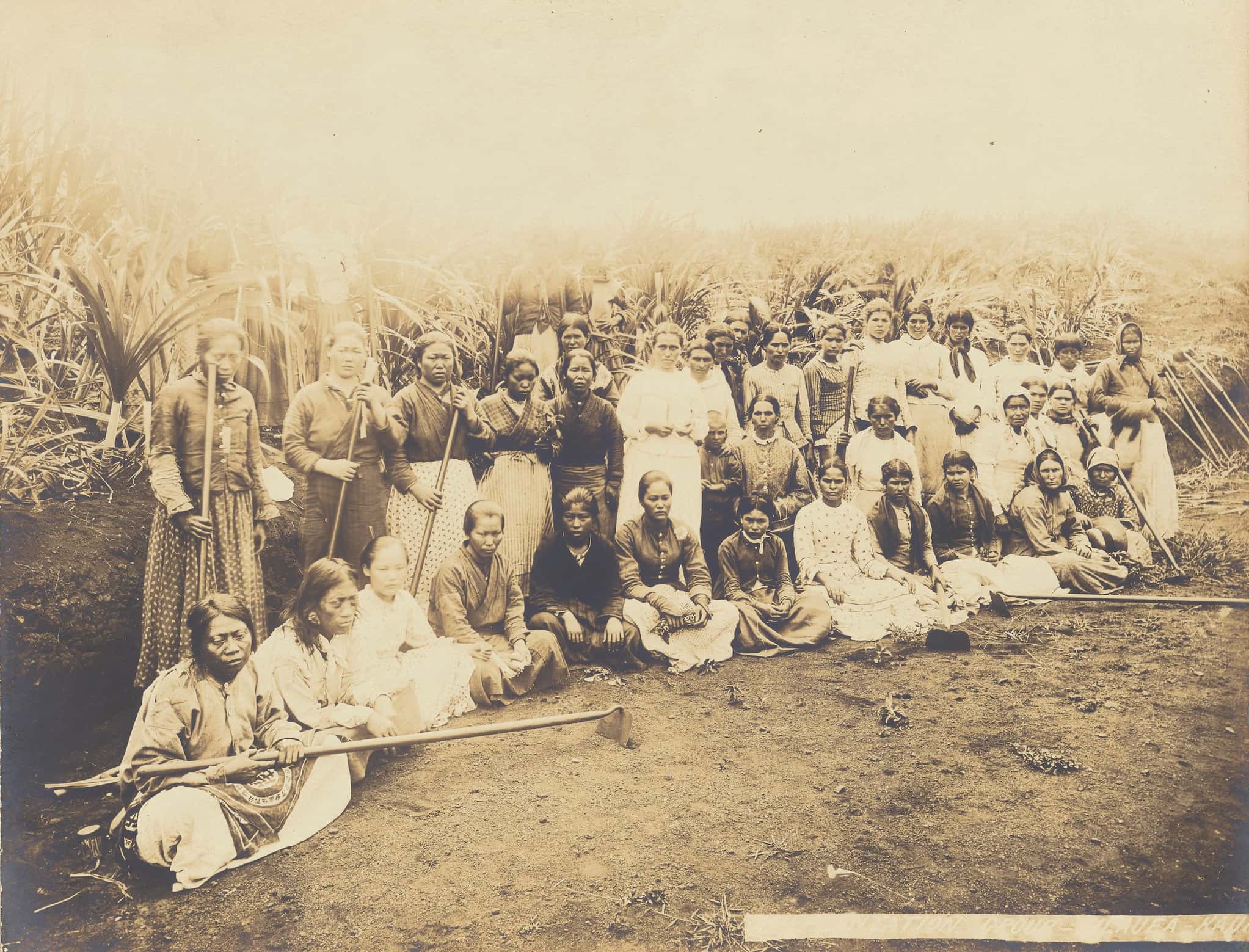 Thirty seven exhausted female sugarcane plantation workers pose for picture in a ditch by the sugar cane field. A young boy stands amongst them.