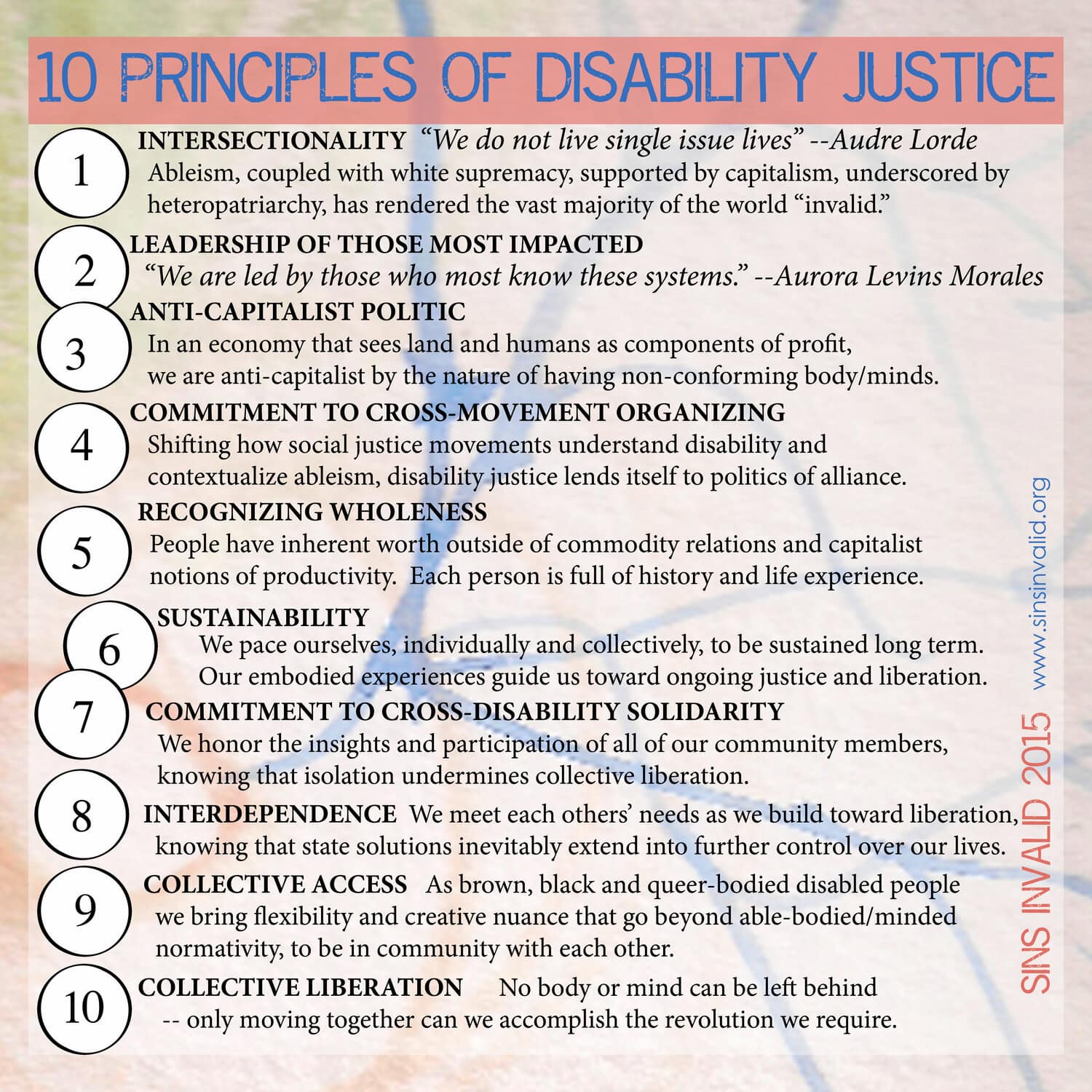 Some of the principles of disability justice include intersectionality, sustainability, solidarity, interdependence, and collective liberation.