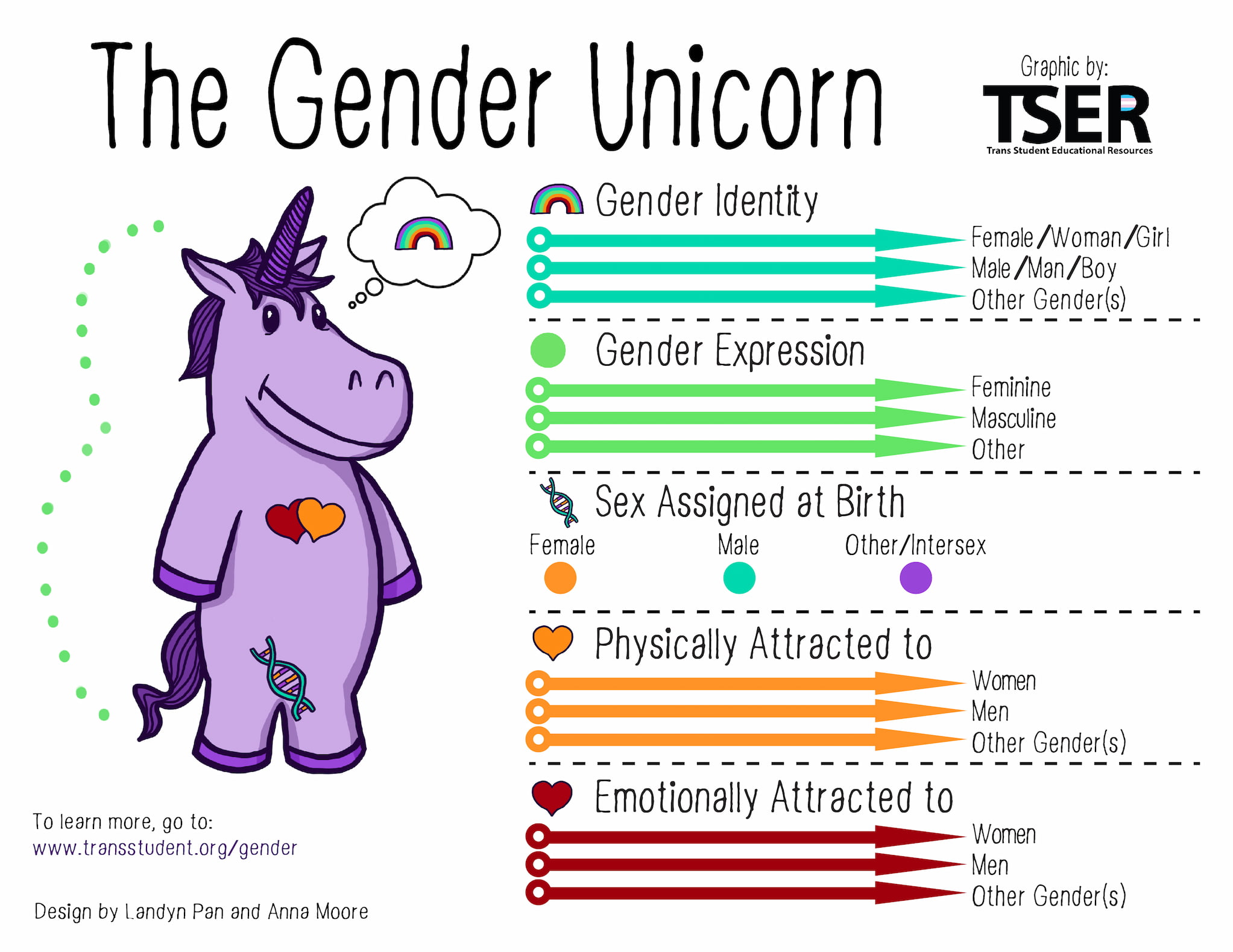 The gender unicorn has spectrums for identity, expression, physical attraction, and emotional attraction.