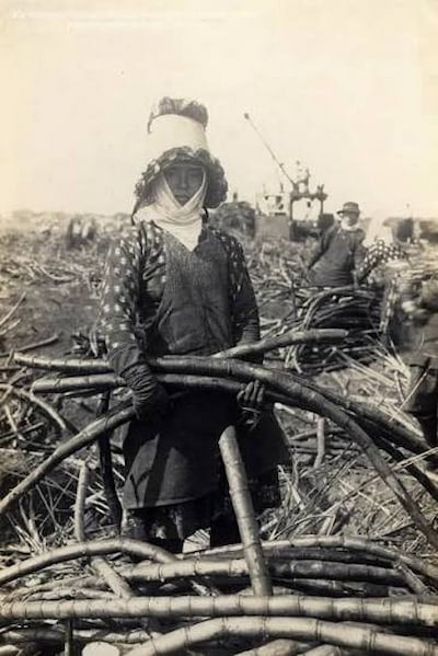 A woman stands in a field holding an armful of cane. She wears long sleeves, a tall hat, and a scarf that wraps under her chin and covers her cheeks.