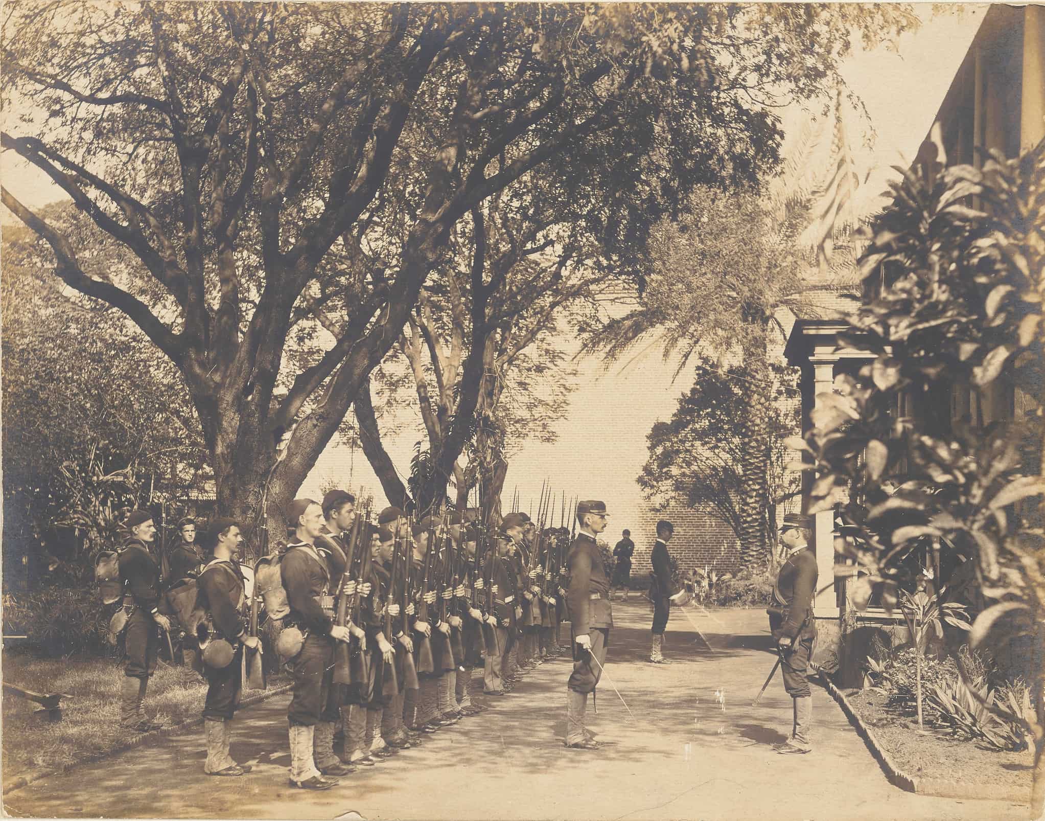 Rows of soldiers stand before their superior officers under the shade of a lush, tree-lined street.