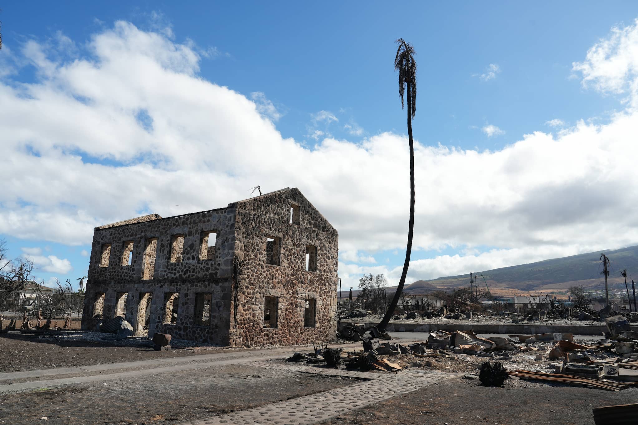 The stone remnants of a two-story structure sit among scattered debris and a lone palm tree.